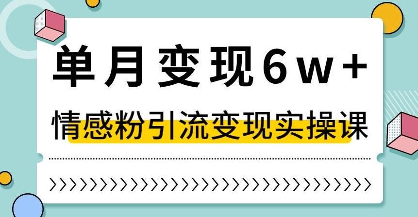单月变现6W+，抖音情感粉引流变现实操课，小白可做，轻松上手，独家赛道【揭秘】-木白网创