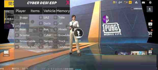 PUBG轻量老外裸奔绘制+自瞄 支持ROOT和框架 里面有全局离线-木白网创