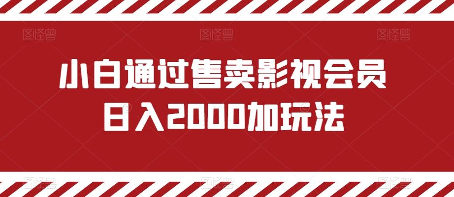 小白通过售卖影视会员日入2000加玩法-木白网创