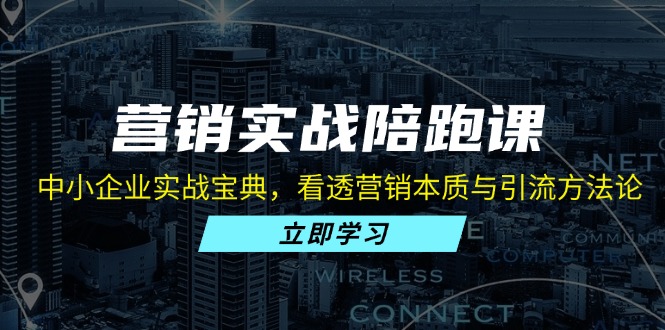 营销实战陪跑课：中小企业实战宝典，看透营销本质与引流方法论-木白网创