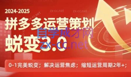 大力老师·2024拼多多运营策略蜕变3.0-木白网创