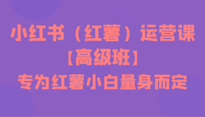 小红书(红薯)运营课【高级班】，专为红薯小白量身而定(42节课)-木白网创