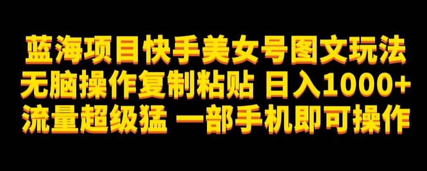 蓝海项目快手美女号图文玩法，无脑操作复制粘贴，日入1000+流量超级猛一部手机即可操作【揭秘】-木白网创