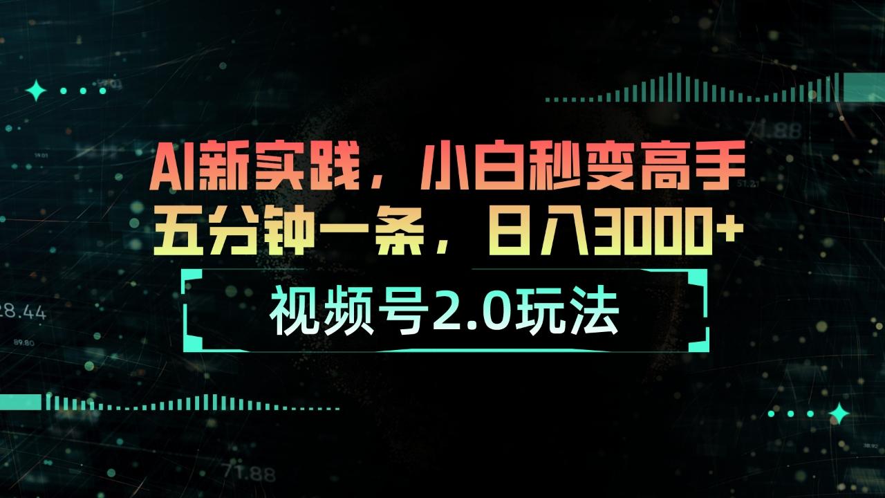 视频号2.0玩法 AI新实践，小白秒变高手五分钟一条，日入3000+-木白网创