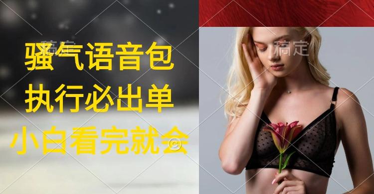 (9589期)执行就出单，日入2000+，超火骚气语音包，小白看完课程就能马上实操-木白网创