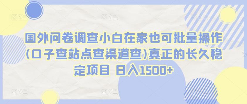 国外问卷调查小白在家也可批量操作(口子查站点查渠道查)真正的长久稳定项目 日入1500+【揭秘】-木白网创