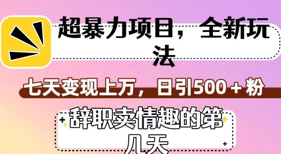 超暴利项目，全新玩法（辞职卖情趣的第几天），七天变现上万，日引500+粉【揭秘】-木白网创