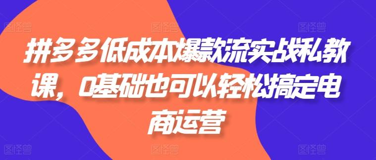 拼多多低成本爆款流实战私教课，0基础也可以轻松搞定电商运营-木白网创