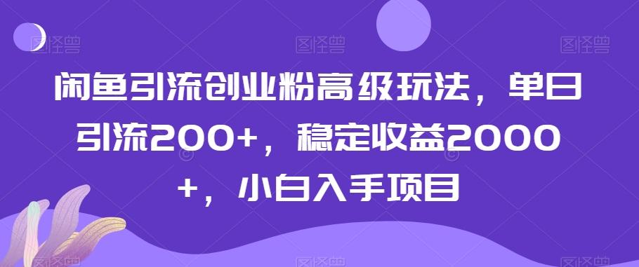 闲鱼引流创业粉高级玩法，单日引流200+，稳定收益2000+，小白入手项目-木白网创