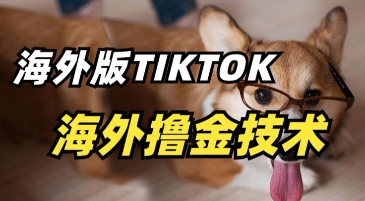 抖音海外版tiktok撸金技术，这个风口行业，赚钱真的不难【揭秘】-木白网创