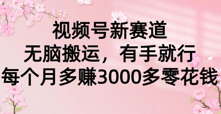 (9278期)视频号新赛道，无脑搬运，有手就行，每个月多赚3000多零花钱-木白网创