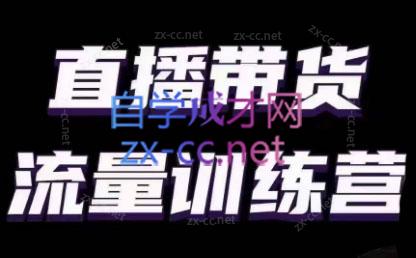 婉婉·直播带货课程系列合集(更新8月)-木白网创