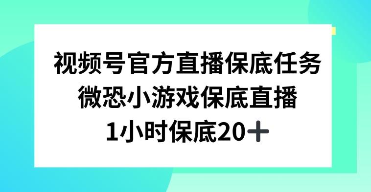 视频号直播任务，微恐小游戏，1小时20+【揭秘】-木白网创