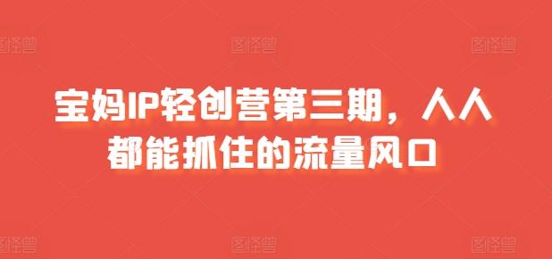 宝妈IP轻创营第三期，人人都能抓住的流量风口-木白网创