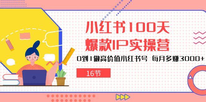 小红书100天-爆款IP实操营，0到1做高价值小红书号 每月多赚3000+(16节-木白网创