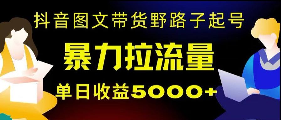 抖音图文带货暴力起号，单日收益5000+，野路子玩法，简单易上手，一部手机即可【揭秘】-木白网创