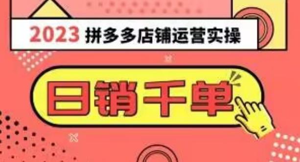 2023拼多多运营实操，每天30分钟日销1000＋，爆款选品技巧大全（10节课）-木白网创