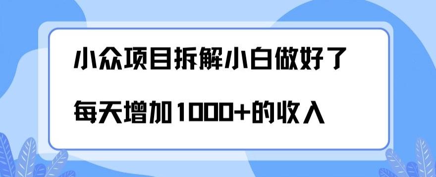 小众项目拆解，小白做好了每天可增加1000多的收入-木白网创