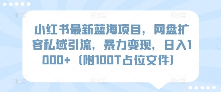 小红书最新蓝海项目，网盘扩容私域引流，暴力变现，日入1000+(附100T占位文件)【揭秘】-木白网创