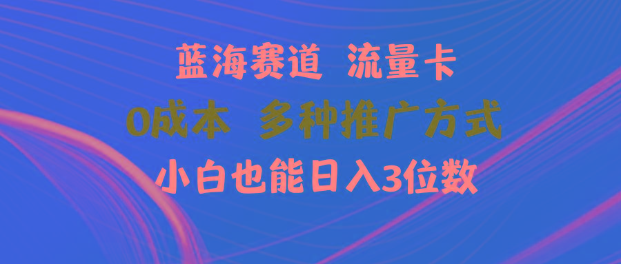 蓝海赛道 流量卡 0成本 小白也能日入三位数-木白网创