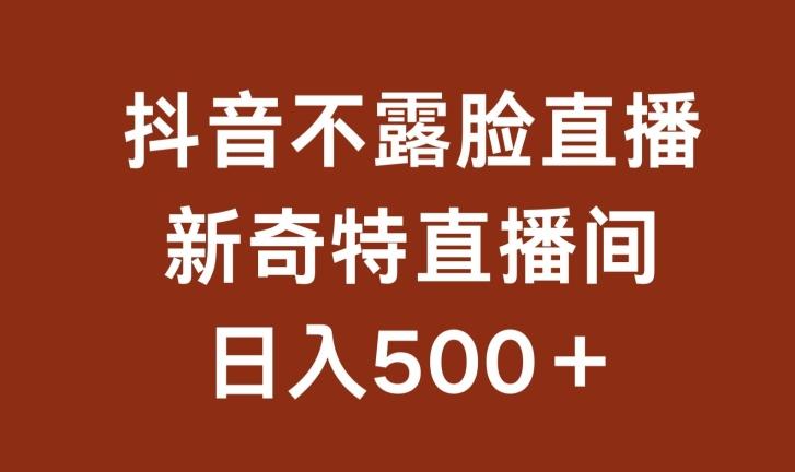 不露脸挂机直播，新奇特直播间，日入500+【揭秘】-木白网创