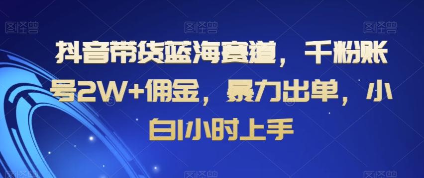抖音带货蓝海赛道，千粉账号2W+佣金，暴力出单，小白1小时上手【揭秘】-木白网创