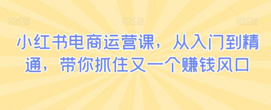 小红书电商运营课，从入门到精通，带你抓住又一个赚钱风口-木白网创