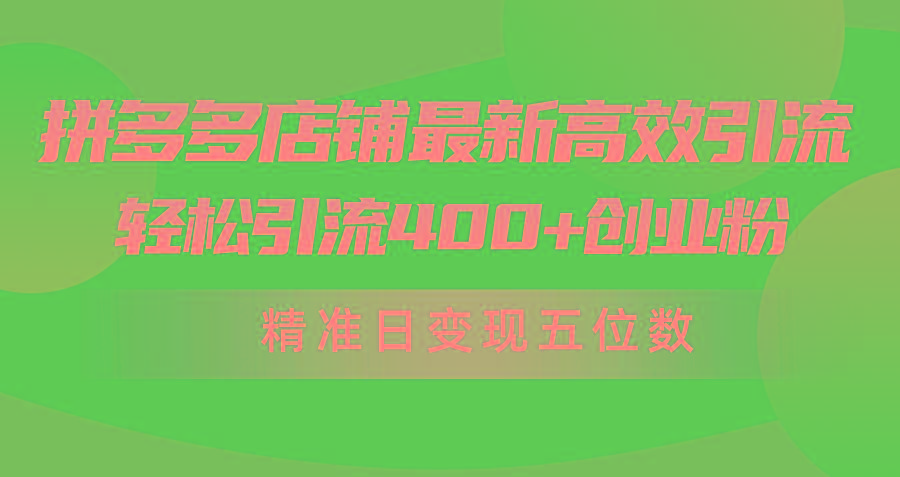 (10041期)拼多多店铺最新高效引流术，轻松引流400+创业粉，精准日变现五位数！-木白网创