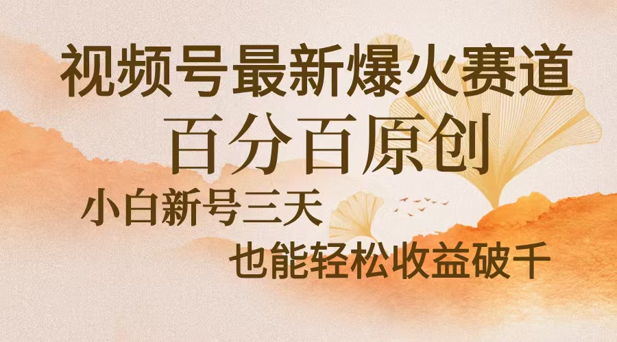 视频号最新爆火赛道，中老年粉深信不疑，百分百原创，新号三天收益轻松…-木白网创
