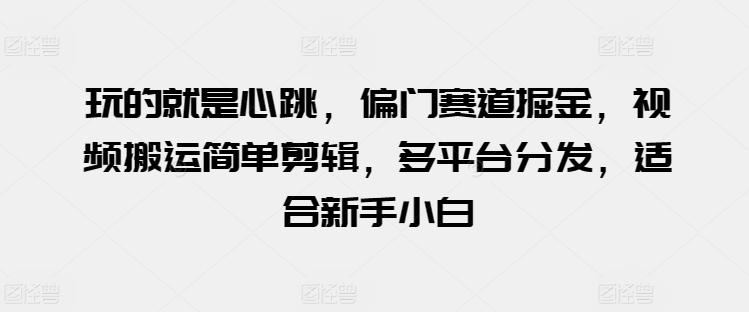 玩的就是心跳，偏门赛道掘金，视频搬运简单剪辑，多平台分发，适合新手小白【揭秘】-木白网创