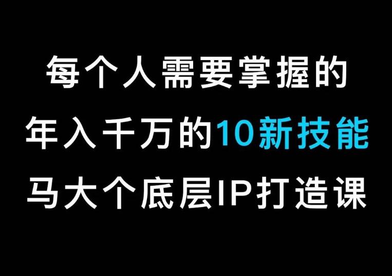 马大个的IP底层逻辑课，​每个人需要掌握的年入千万的10新技能，约会底层IP打造方法！-木白网创