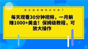 每天观看30分钟视频，一月躺赚1000+美金！保姆级教程，可放大操作【揭秘】-木白网创
