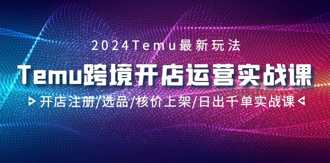 2024Temu跨境开店运营实战课，开店注册/选品/核价上架/日出千单实战课-木白网创