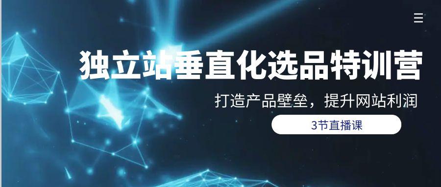 (9925期)独立站-垂直化选品训练营，打造产品壁垒，提升网站利润(3节直播课)-木白网创