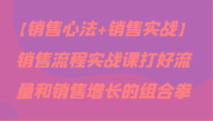 【销售心法+销售实战】销售流程实战课打好流量和销售增长的组合拳-木白网创