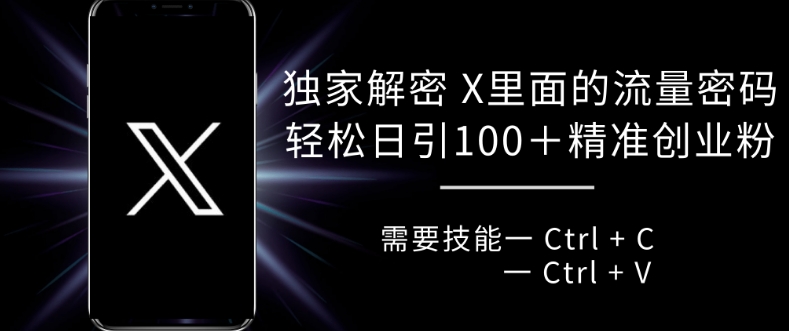 独家解密 X 里面的流量密码，复制粘贴轻松日引100+-木白网创
