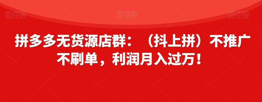 拼多多无货源店群：（抖上拼）不推广不刷单，利润月入过万！【揭秘】-木白网创