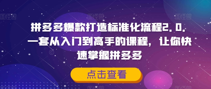 拼多多爆款打造标准化流程2.0，一套从入门到高手的课程，让你快速掌握拼多多-木白网创
