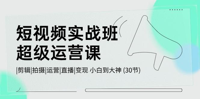 短视频实战班超级运营课 |剪辑|拍摄|运营|直播|变现 小白到大神 (30节)-木白网创