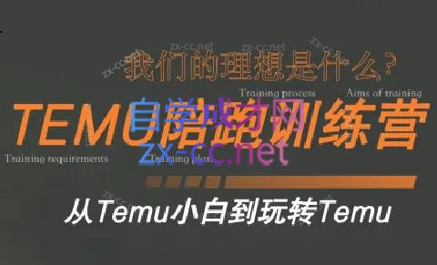 苗苗·拼多多跨境（temu）课程-木白网创