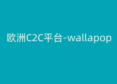 欧洲C2C平台-wallapop-kim跨境电商教程-木白网创