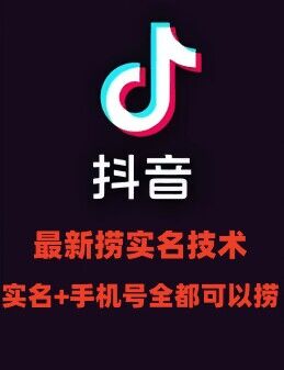 最新技术抖音捞实名+捞手机号技术，抖音直播封禁释放十名/手机号，直接替换出来!-木白网创