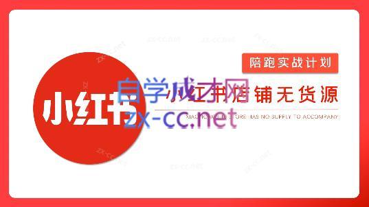 安琪·小红书店铺无货源-木白网创