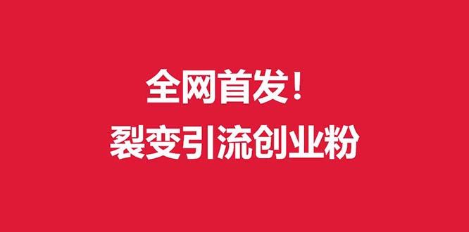 (全网首发)外面收费几千的裂变引流高质量创业粉-木白网创