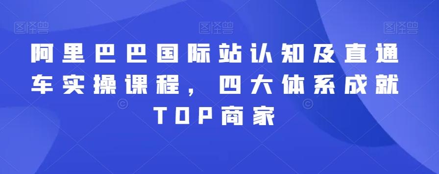 阿里巴巴国际站认知及直通车实操课程，四大体系成就TOP商家-木白网创