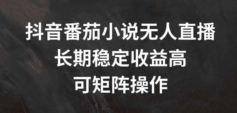 抖音番茄小说无人直播，长期稳定收益高，可矩阵操作【揭秘】-木白网创