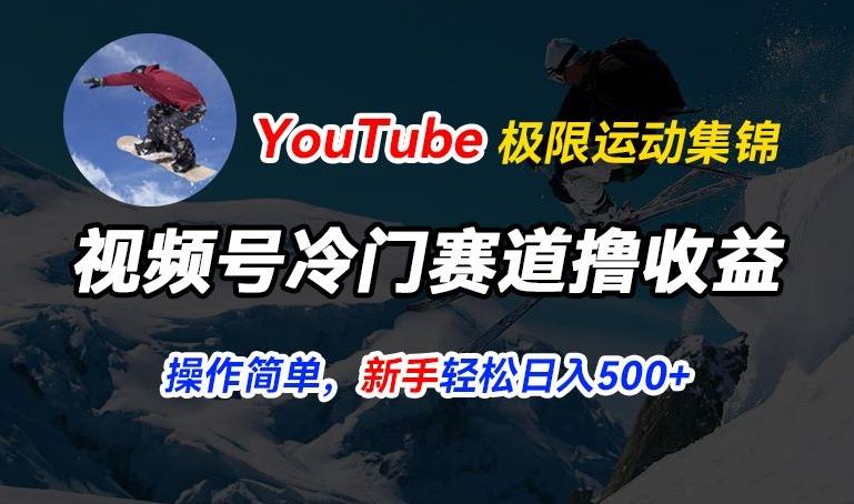 视频号冷门赛道撸收益，YouTube搬运极限运动集锦，暴力起号，操作简单流量高，轻松日入5张【揭秘】-木白网创