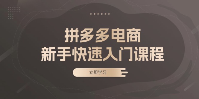 拼多多电商新手快速入门课程：涵盖基础、实战与选款，助力小白轻松上手-木白网创