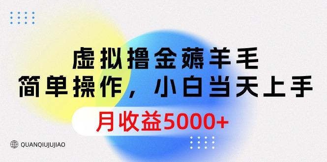 (9864期)虚拟撸金薅羊毛，简单操作，小白当天上手，月收益5000+-木白网创