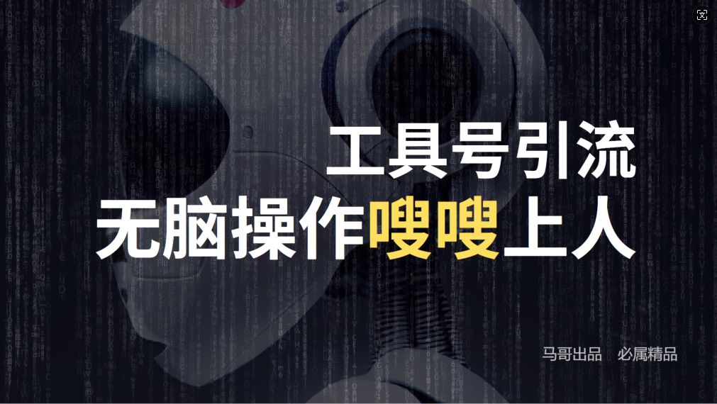24年抖音最新工具号日引流300+创业粉，日入5000+-木白网创